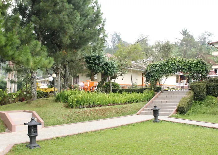 Arra Lembah Pinus Ciloto Hotel Puncak